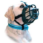 Dog Muzzles