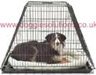 Dog Cages for Cars